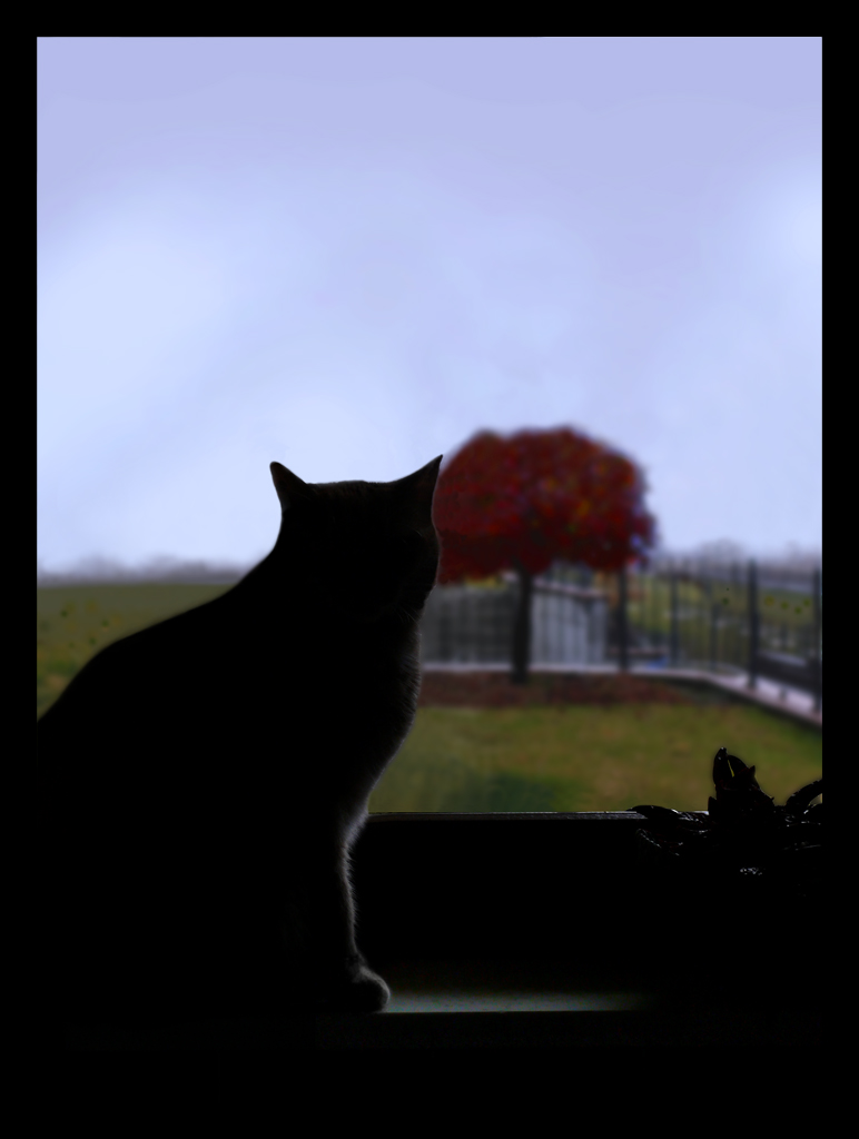 Silhouette pensierosa