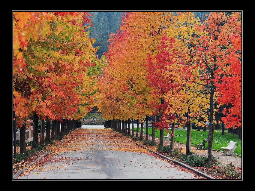 Voglia di colore....