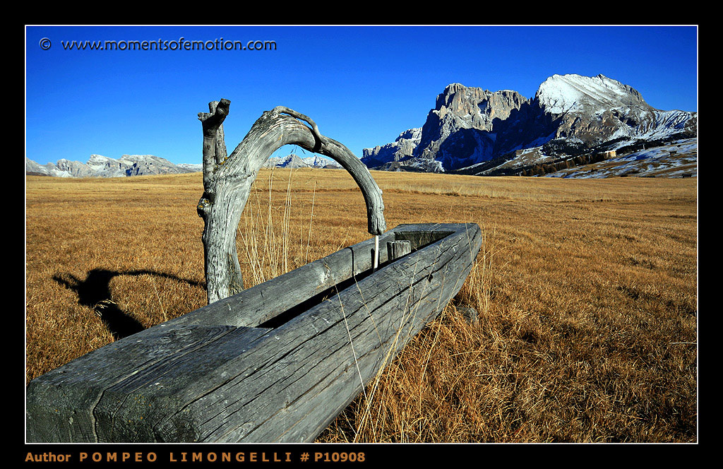 ...sempre sull'alpe di Siusi....