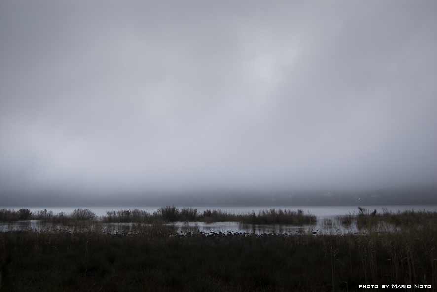al calare della nebbia