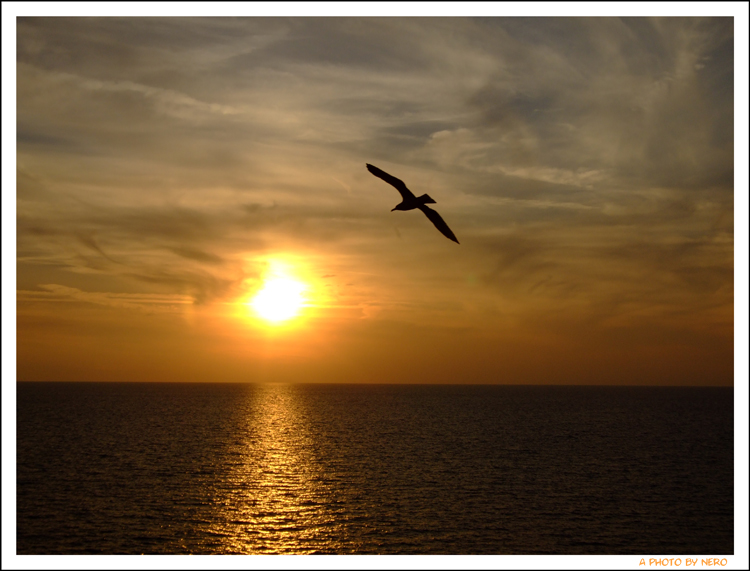 In volo