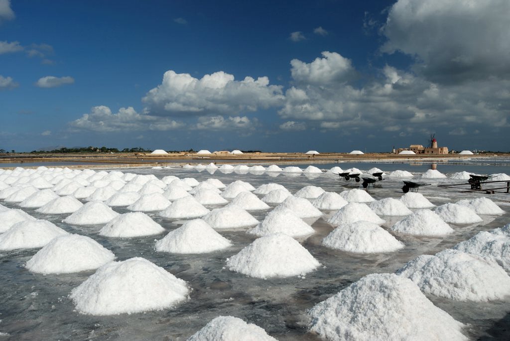 Raccolta del sale 04