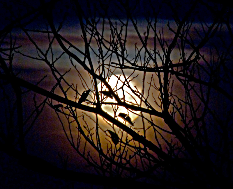 Al calar delle tenebre