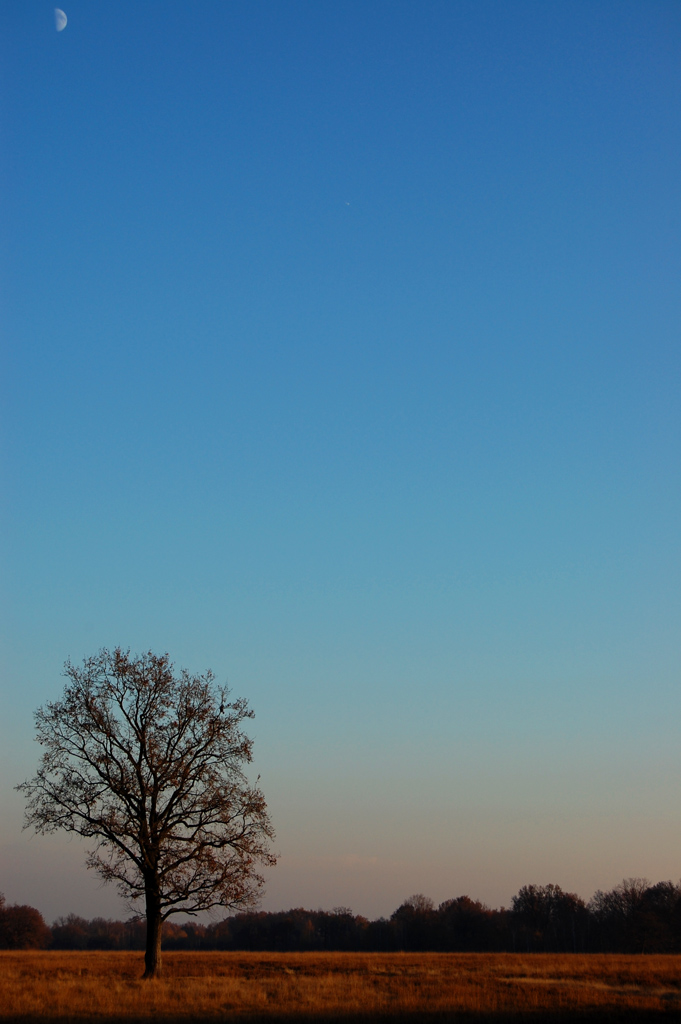 Puntando Verso il Cielo