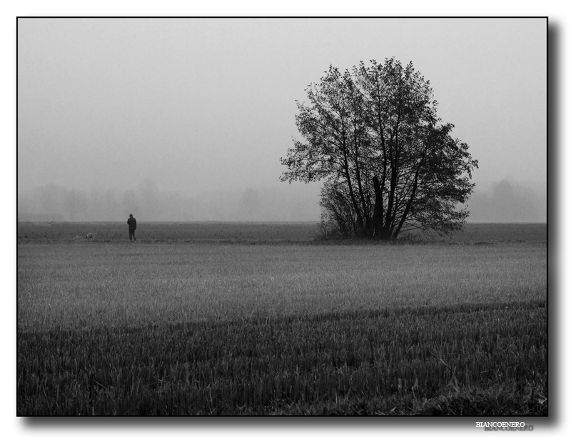 ::: IN UNA FREDDA DOMENICA MATTINA D'AUTUNNO :::