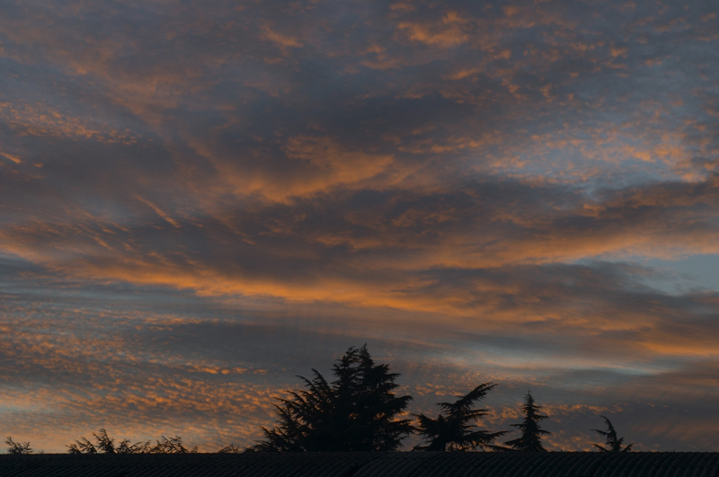 Malinconia d'autunno