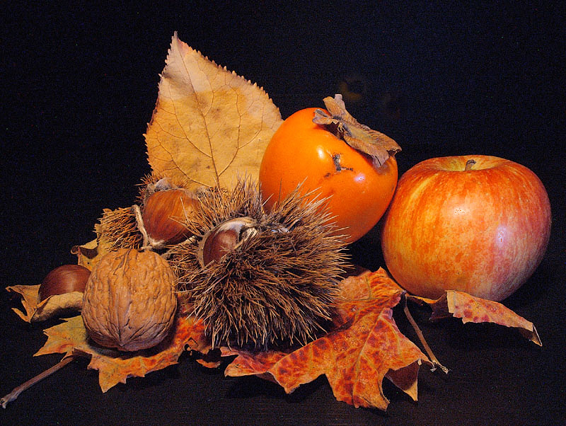 ..ancora natura morta..