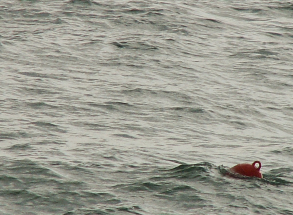 In un mare di...onde!