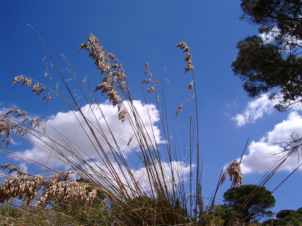 Le campagne di Partanna (TP)