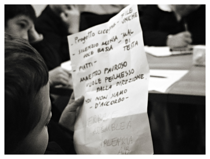 a lezione di democrazia: assemblea plenaria