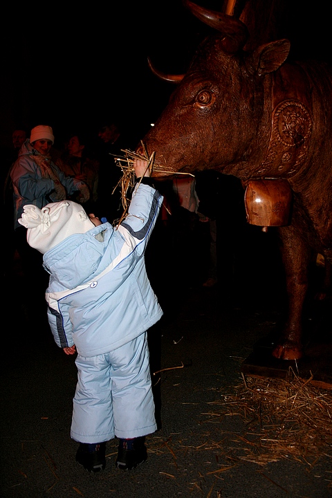 Questa mucca non mangia