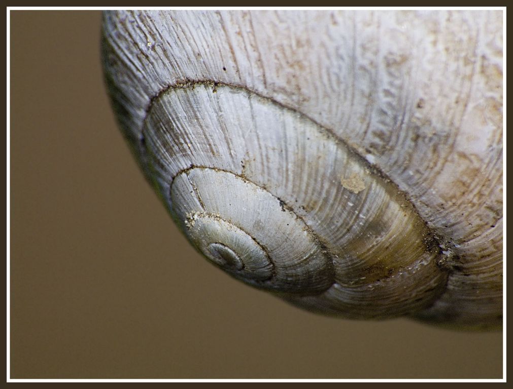 space invaders --nave madre--