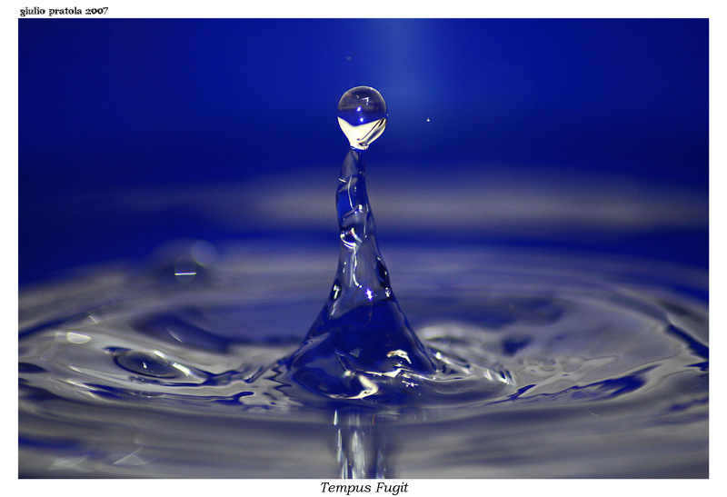 Tempus Fugit