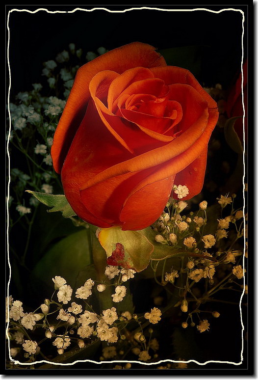 A tutte le donne della mia vita