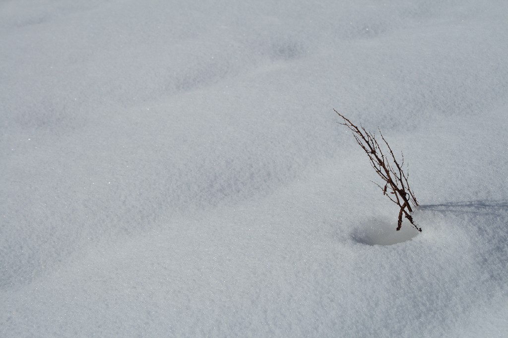 alla prossima neve vi saluto...