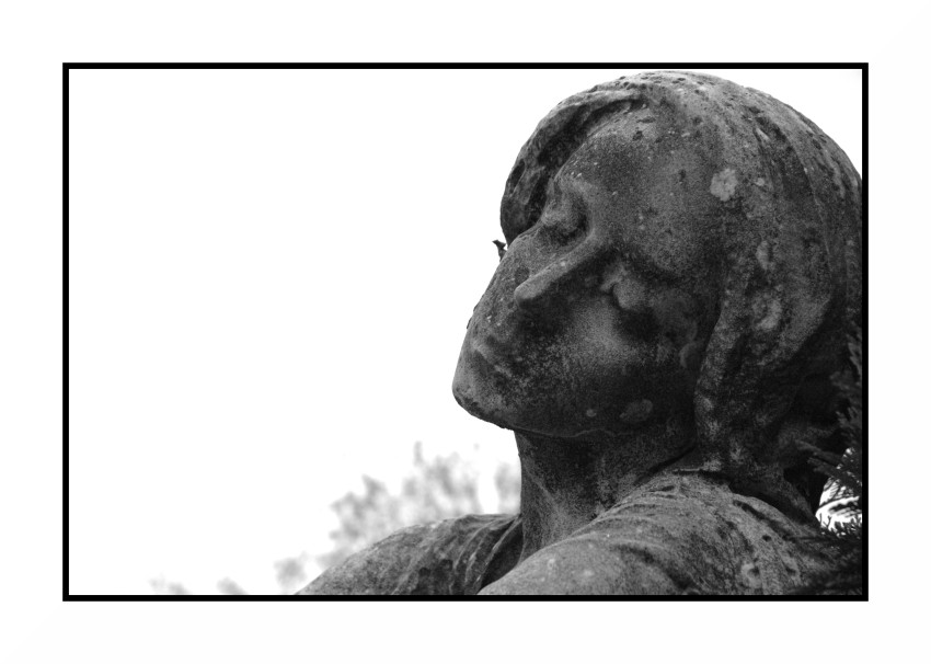 Niente, ma proprio niente,  � per sempre #10