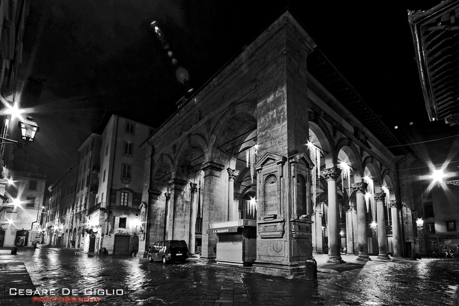 Firenze in notturna (BN)