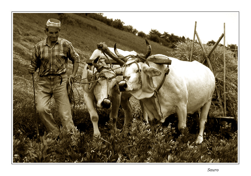 Il lavoro duro dei campi