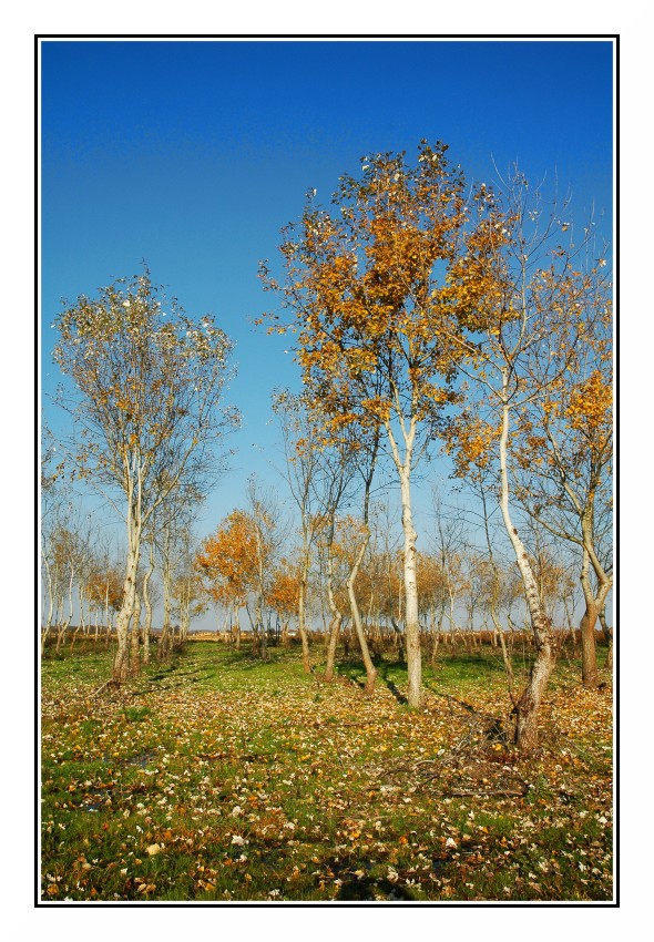 Luce e colori d'autunno