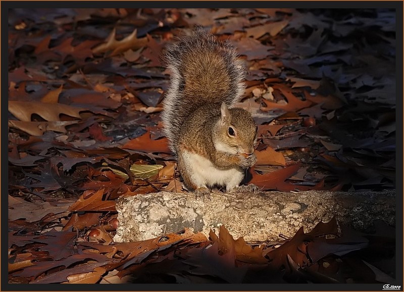Il sole bacia i belli