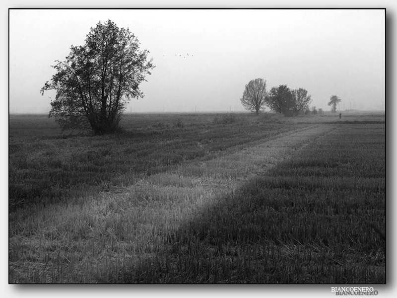 ::: IN UNA FREDDA DOMENICA MATTINA D'AUTUNNO :::