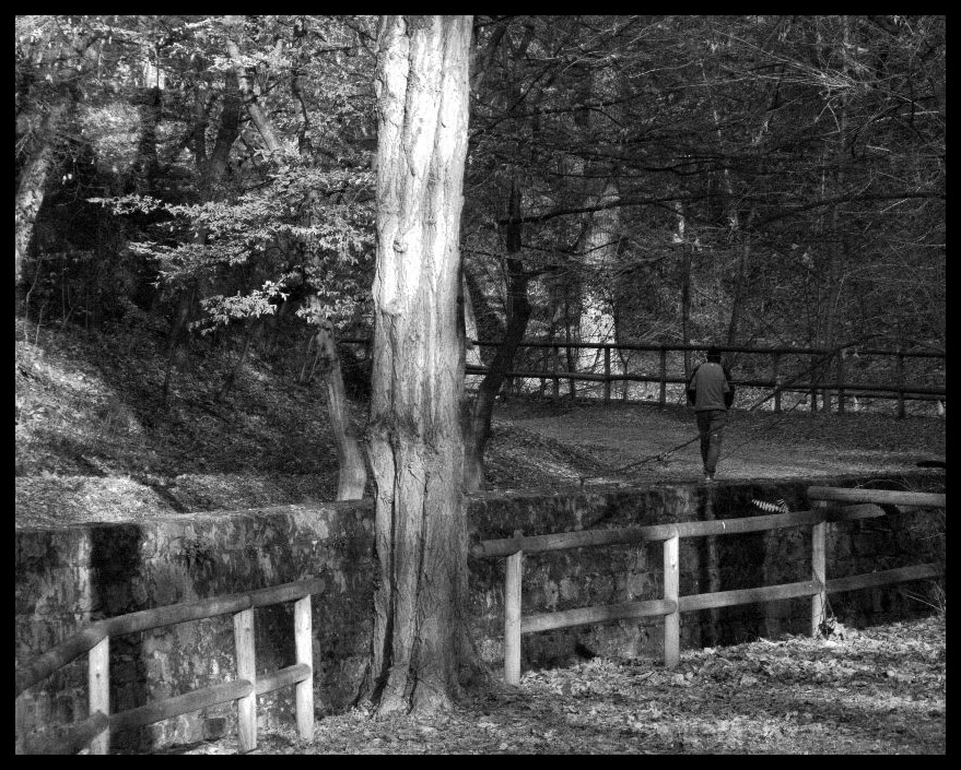 --Non cercarmi pi�--