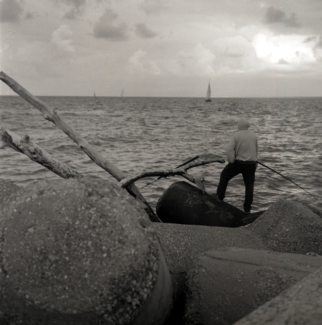 Povere biottiche maltrattate (ed annacquate) da un cielo minaccioso...