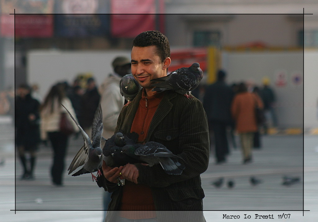 l'uomo che sussurrava ai piccioni