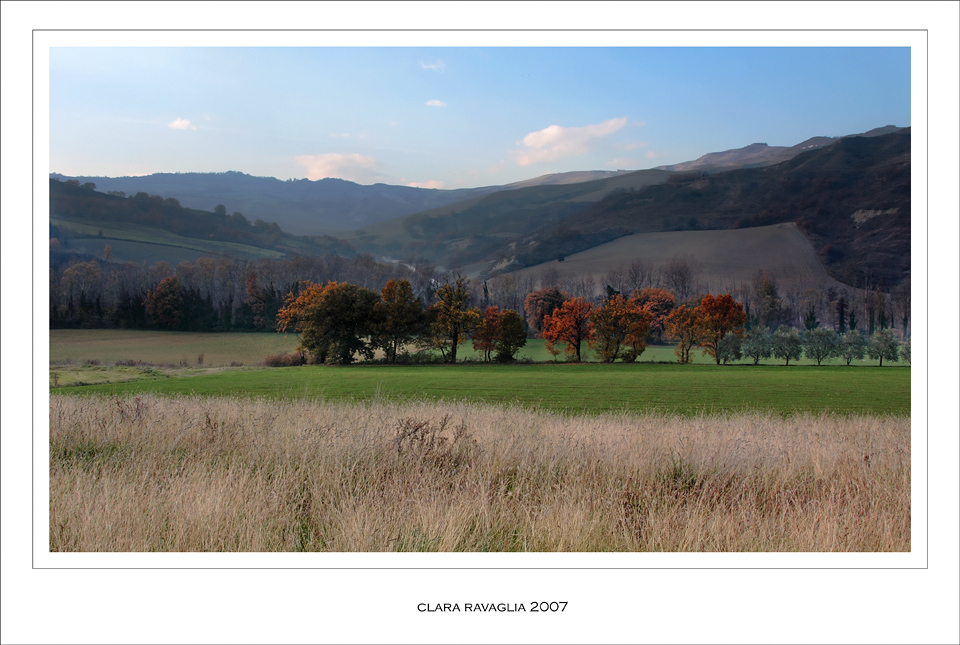 Colori......in collina