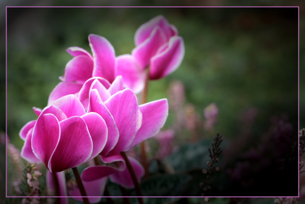 Primo esperimento PW