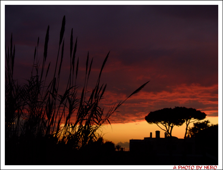 Ischia dicembre 2007