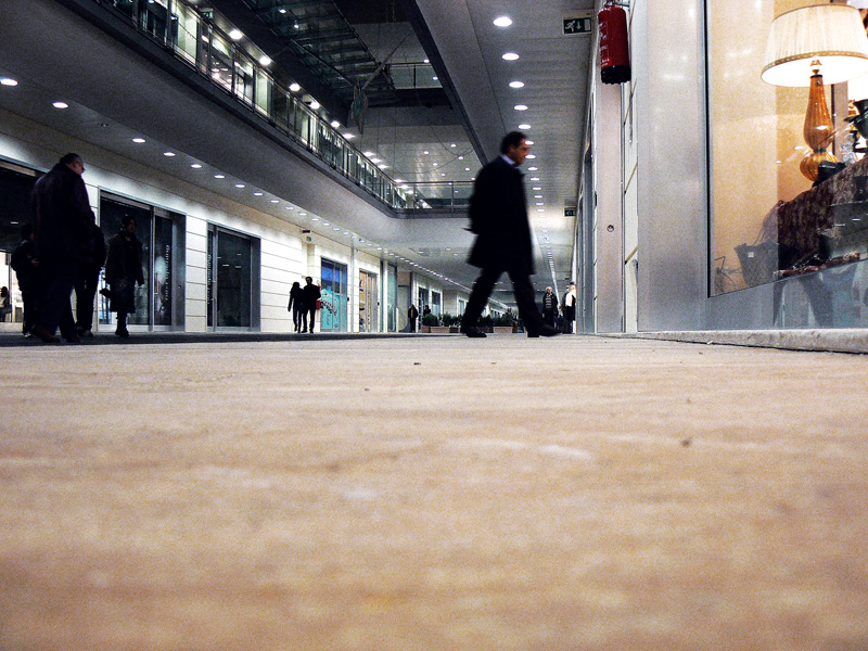 Le formiche lci vedono cos�