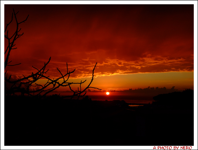 Ischia dicembre 2007 4