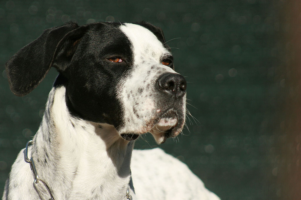 ...e ora come la mettiamo ???