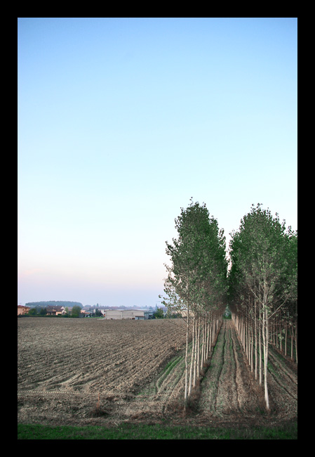 "Triangolo"