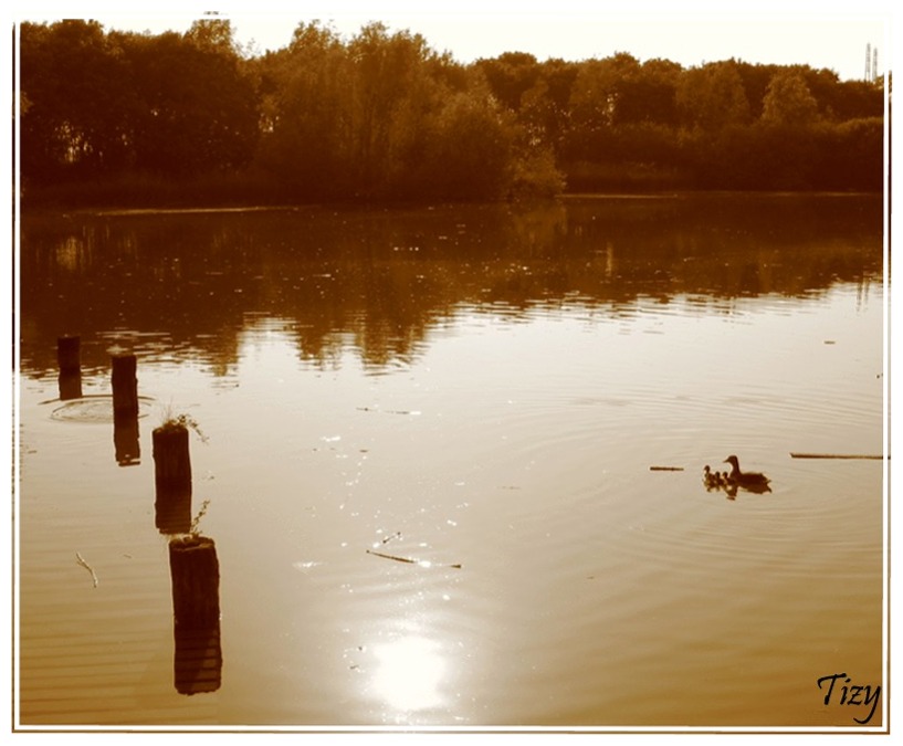 Vicini....Vicini......