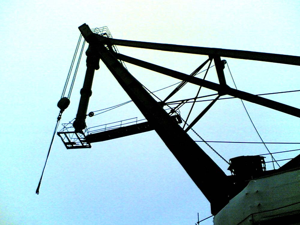 biennale al ferro...