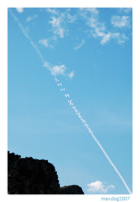 Aereo a reazione genetica