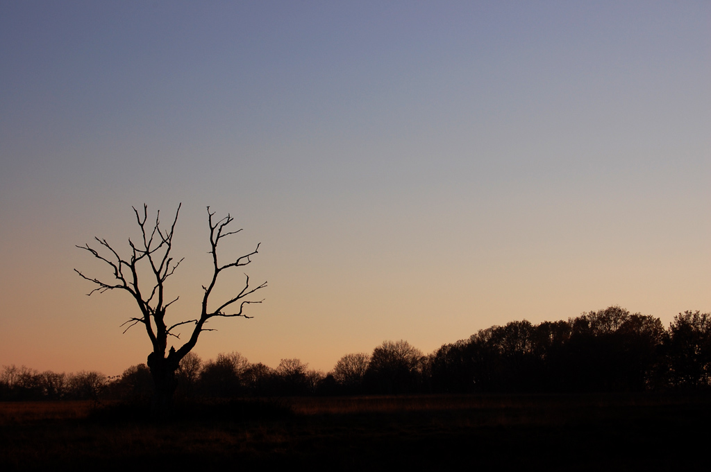Ci� che collega il cielo alla terra
