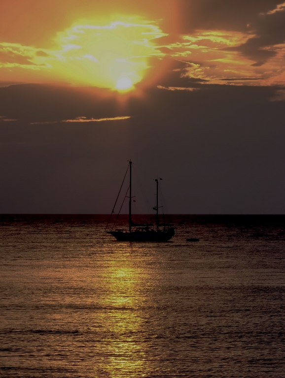 "sfogliatella" ... di sole