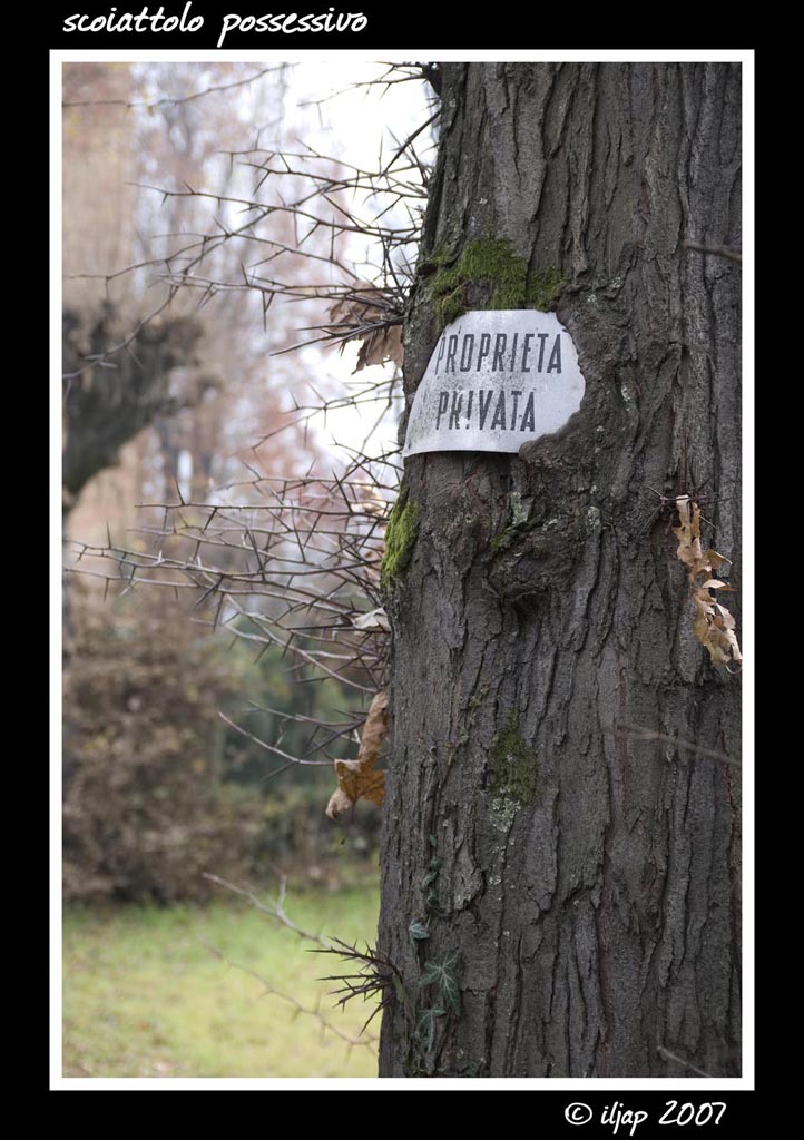 Scoiattolo possessivo