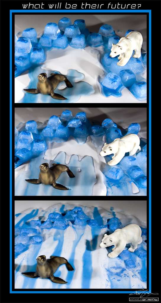 WHAT WILL BE THEIR FUTURE?