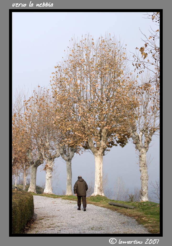 verso la nebbia