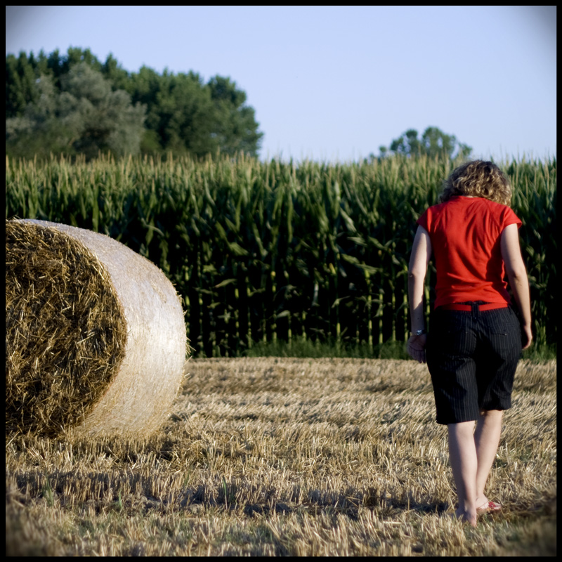 ricordi di una estate andata via