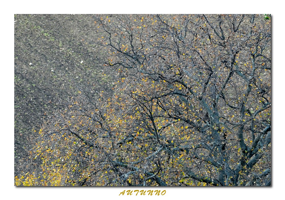 Autunno