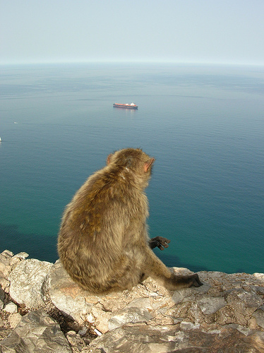 Guardiano Gibilterra
