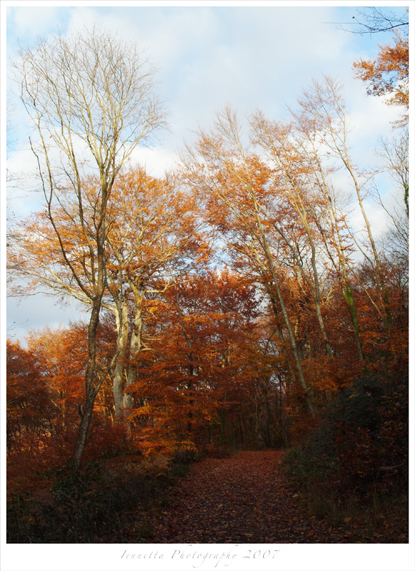 Passeggiata d'autunno