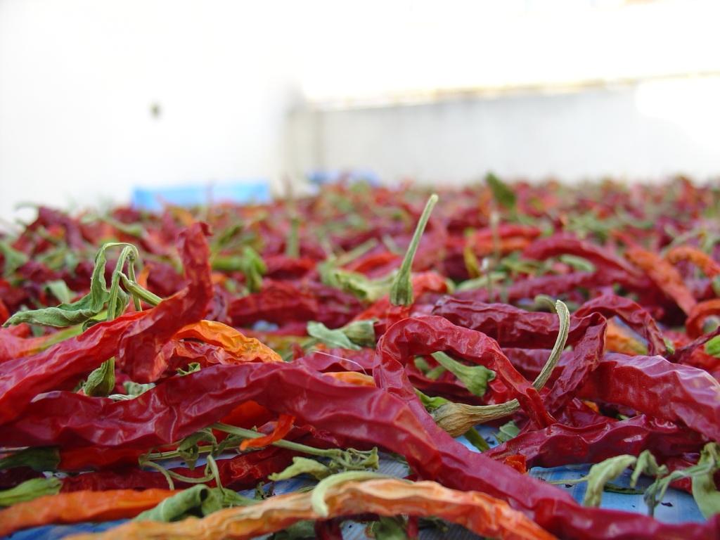 Una foto....piccante!!