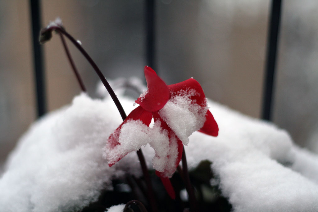 bbbbrrrrrr........... che freddo