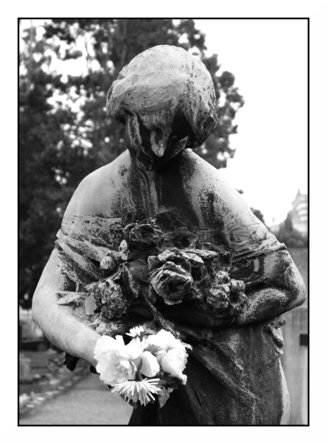 Niente, ma proprio niente,  � per sempre #14